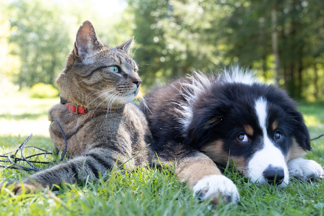 Garden Companions