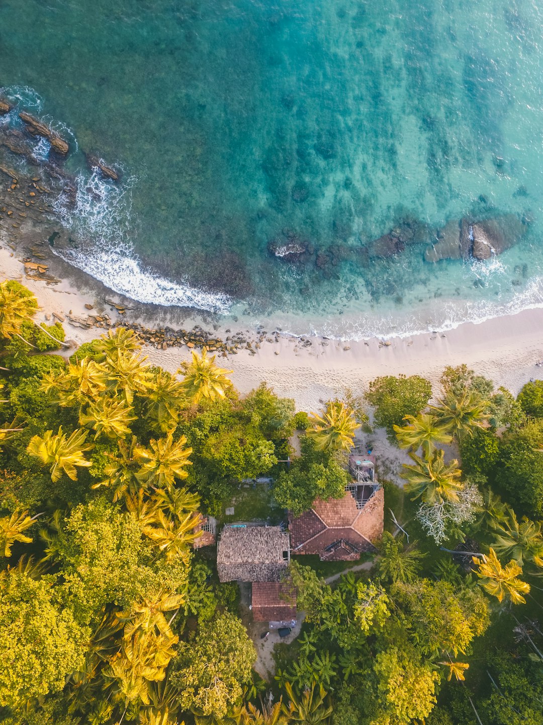 Coastline From Above